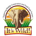 itswild